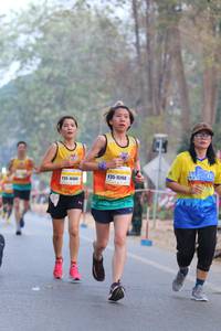 BIB: 15160, 10469
                            <button type="button" onclick="openModal(10409713)" class="btn btn-primary btn-sm float-right btn-popup" data-toggle="modal" data-target=".modal-high-quality">
                        <i class="fas fa-shopping-cart"></i> Add to Cart
                    </button>
                                            <button type="button" onclick="isThisMe(10409713, true)" class="btn btn-success btn-sm float-right btn-popup btn-isme hidden" data-toggle="tooltip" data-placement="bottom" title="นี่คือรูปของคุณใช่ไหม คลิกที่นี่เพื่อเอาเข้าอัลบั้ม">
                        <i class="fas fa-plus"></i> Add to album
                    </button>
                    <button type="button" onclick="isThisMe(10409713, false)" class="btn btn-warning btn-sm float-right btn-popup btn-isnotme hidden">
                        <i class="fas fa-ban"></i> Remove from album
                    </button>